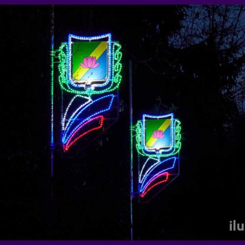 Разноцветные светодиодные консоли с гербом, алюминиевым каркасом и триколором из дюралайта