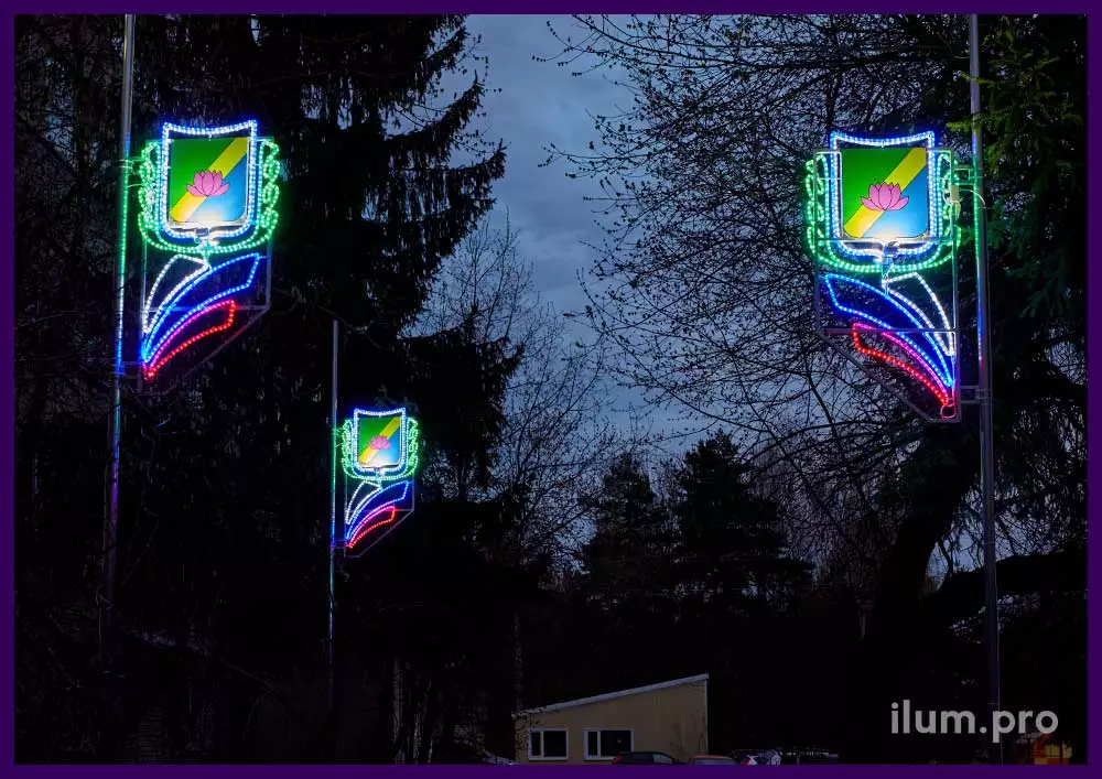 Консоли светодиодные из дюралайта в форме флага и гербами города
