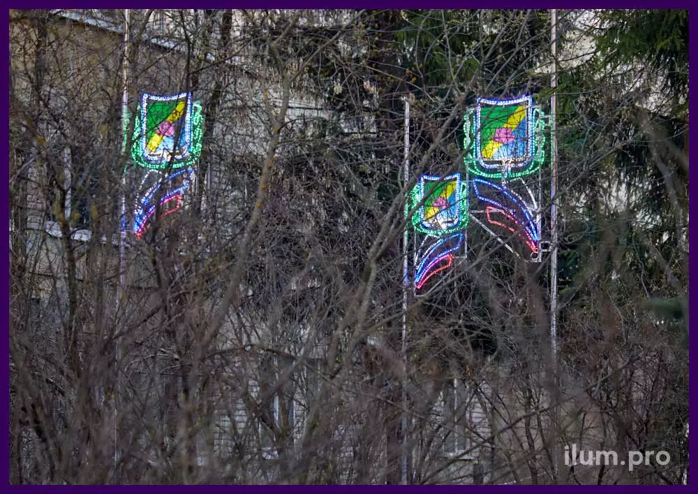 Консоли для украшения опор освещения вдоль дорог, флаг и герб с контурами из дюралайта