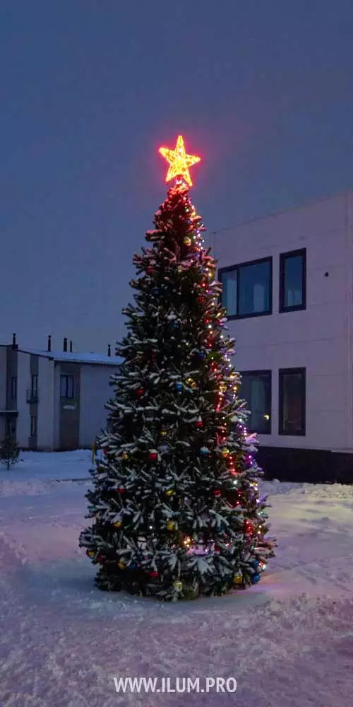 Новогодняя ёлка у коворкинга в городе-спутнике Липецка Romanovo City
