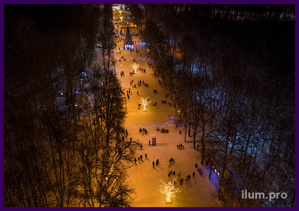 Новогодняя иллюминация в парке - светодиодные деревья