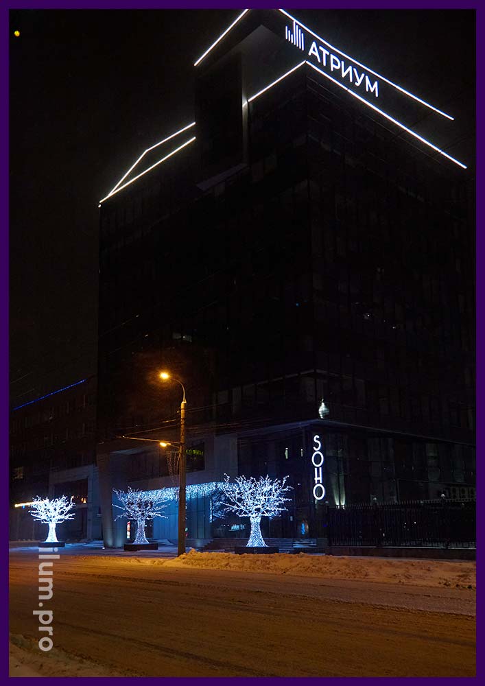Иллюминация в Пензе, световые деревья на улице